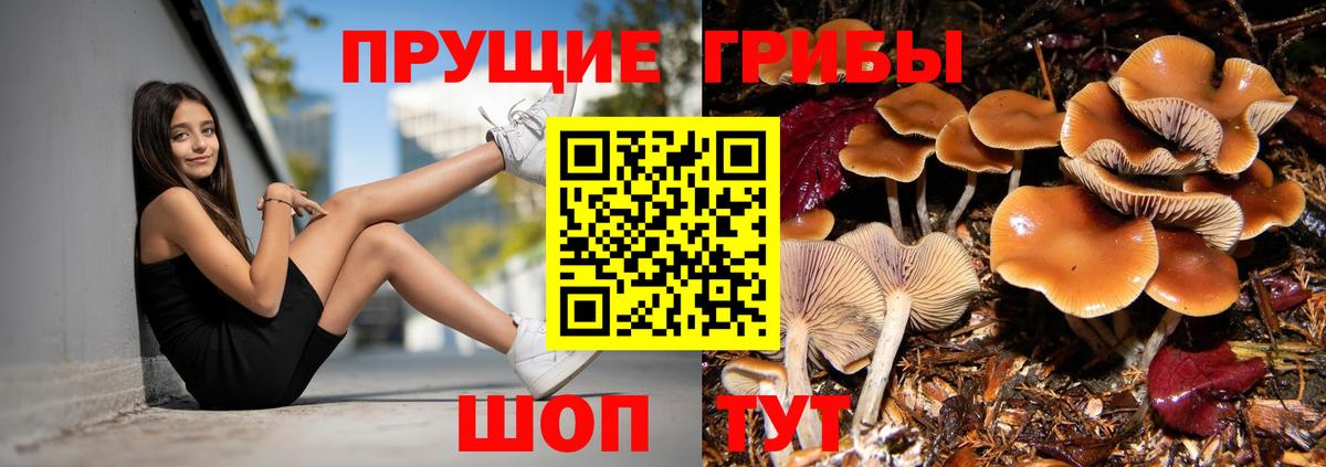 Строитель  Псилоцибиновые грибы Magic Shrooms  Вход с VPN 